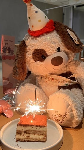 دب الميلاد حجم كبير