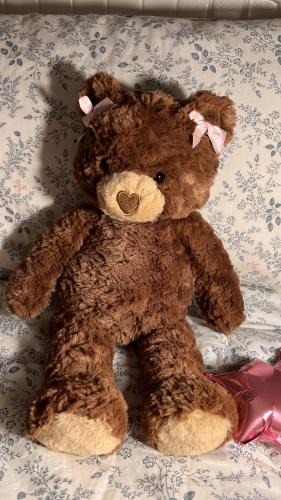 الدب براوني