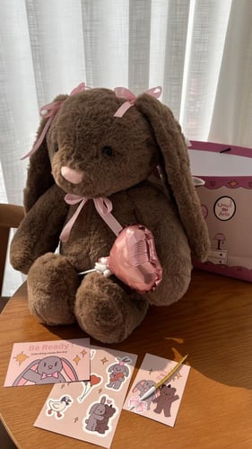 انيس مقاس وسط