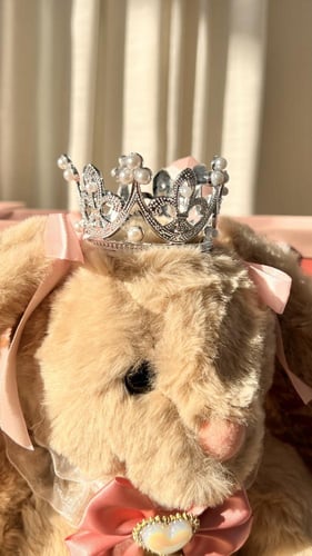 أنيسة العيد