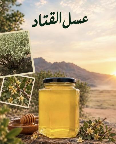 عسل القتاد
