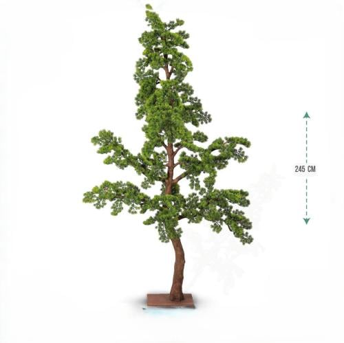 شجر البونساي ارتفاع 245سم* 140 سم