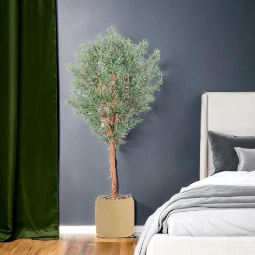 شجر زيتون حوض فيبر 240 سم