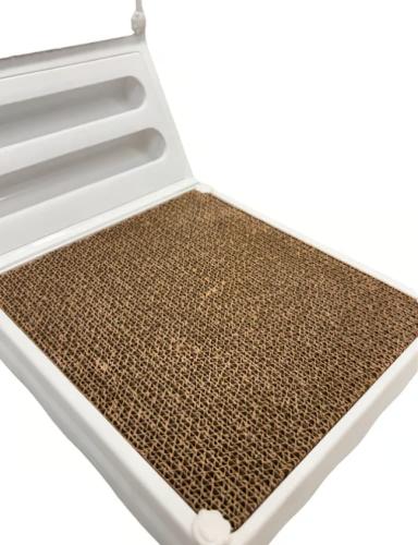 خداشة على شكل وجهين للقطط