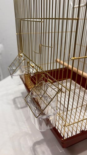 قفص للطيور حجم وسط