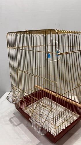قفص للطيور حجم وسط