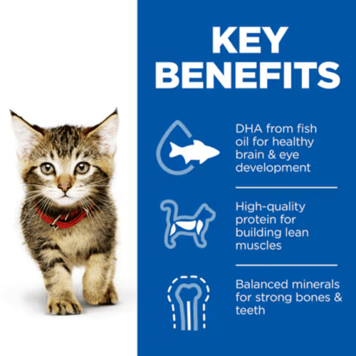 هيلز ساينس بلان- طعام جاف علاجي للقطط الصغيرة نكهة...