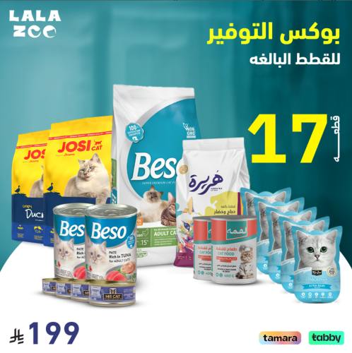 باقة القطط البالغة المتكاملة