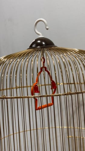 قفص للطيور حجم كبير لون ذهبي