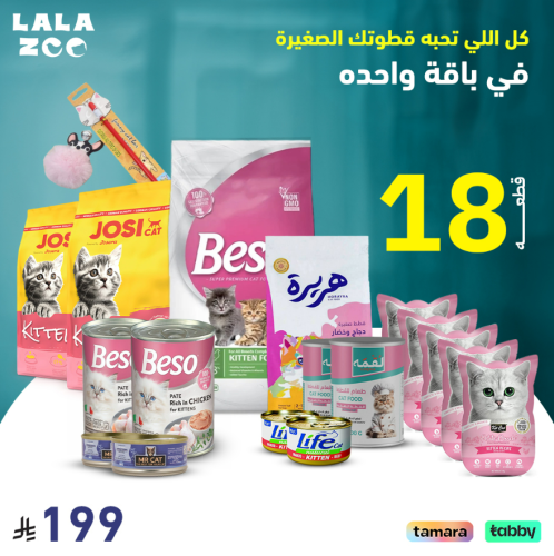 باقة القطط الصغيرة المتكاملة
