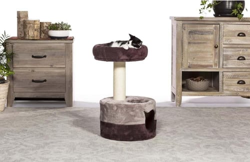 اريكه مريحه + بيت قطني مريح للقطط