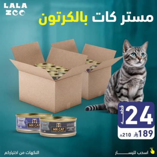 كرتونين وجبات رطبه مستر كات 48 علبة