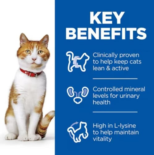 هيلز ساينس بلان- طعام رطب بالمرق للقطط البالغة وال...