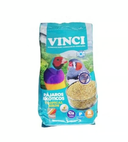 فينشي اكل طيور الاستوائية