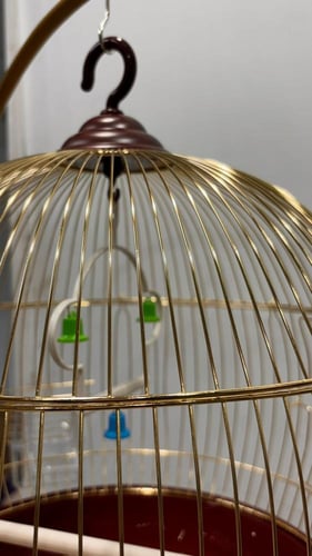 قفص طيور حجم كبير مع ستاند ذهبي فاخر