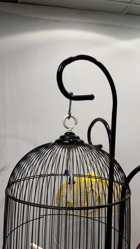 حامل أقفاص طيور ثلاثي