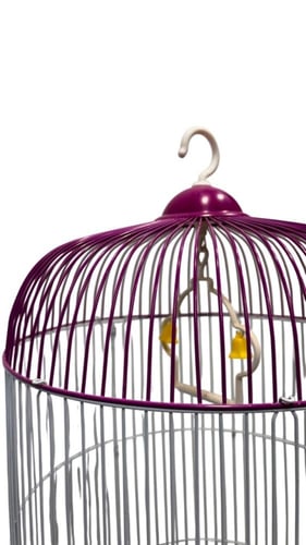 قفص للطيور حجم كبير متعدد الالوان