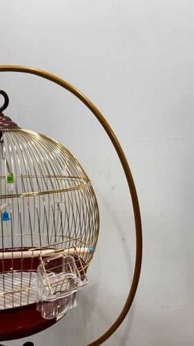 قفص طيور حجم كبير مع ستاند ذهبي فاخر