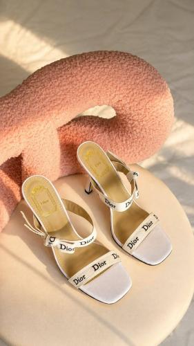 كعب ديور بسيور مطرزة باسم البراند Dior