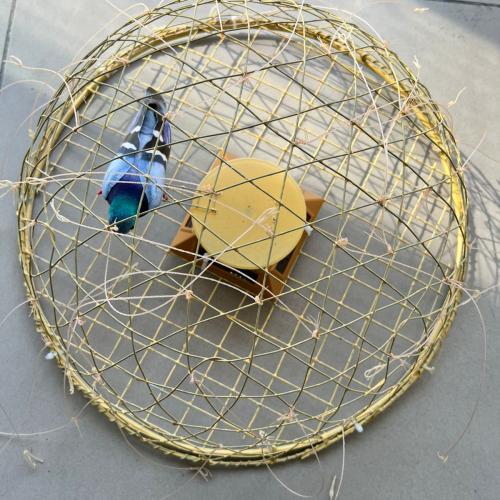 قراشيع حمام دائري على الطاقة الشمسية