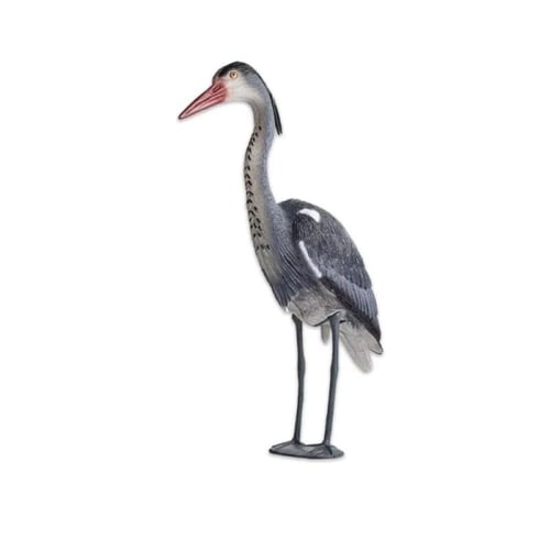 طائر الزرقي البلشون الحزين