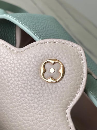 لوي فيتون مقاس 21 cm