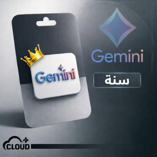 جيميناي برو سنة