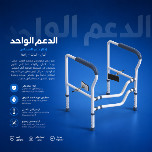 Toilet lift aid with portable holder
