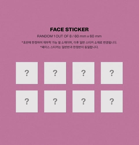 STRAY KIDS - MAXIDENT Random