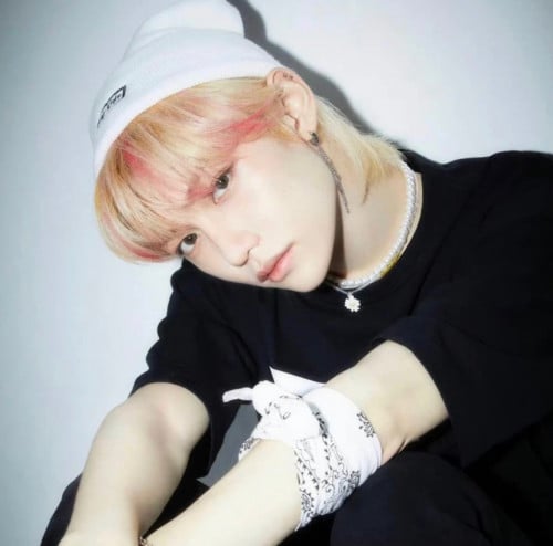 سلسال Straykids