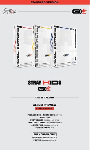 Stray Kids Album Vol. 1 - GO (Standard Ver.) (Rand...