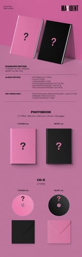 STRAY KIDS - MAXIDENT Random