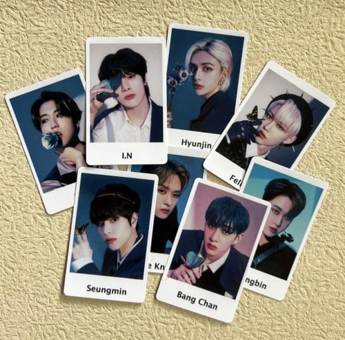 بولارويد فوتوكارد maniac japan