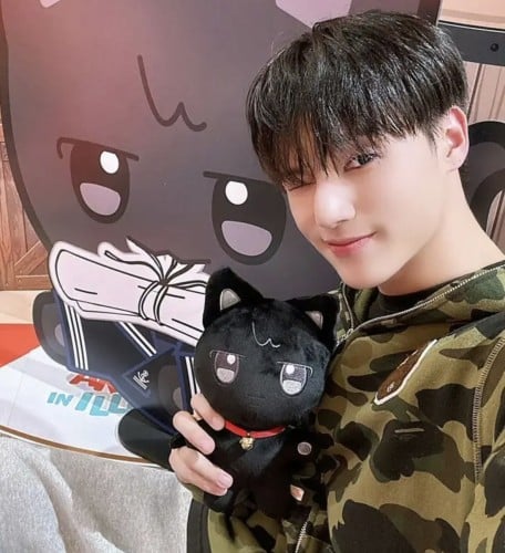 دمية ANITEEZ ( wooyoung )