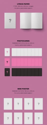 STRAY KIDS - MAXIDENT Random