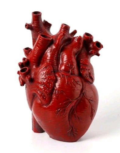 ديكور مكتبي مزهريه قسم القلب