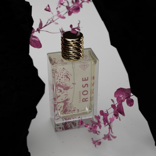 عطر تندر روز TENDER ROSE اودي برفيوم