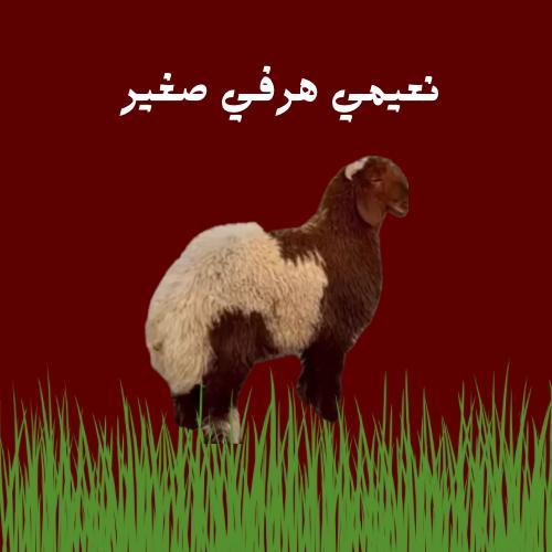نعيمي هرفي