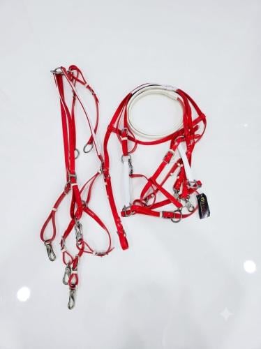 Status harness with the vest