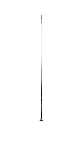 Training whip