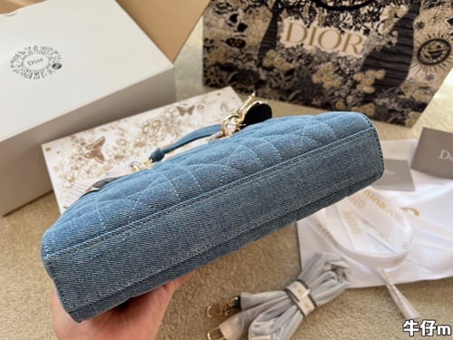 Christian Dior Lady Dior Bag