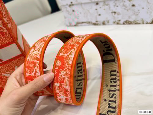 Christian Dior Lady Dior Bag