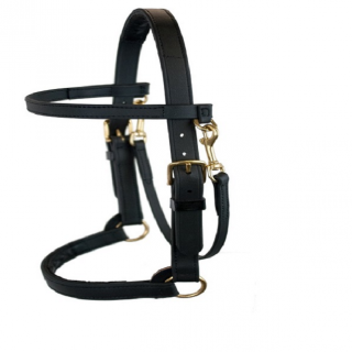 رشمة تدريب أمريكية أحترافية مدببه خلف الأذان ومن ف...