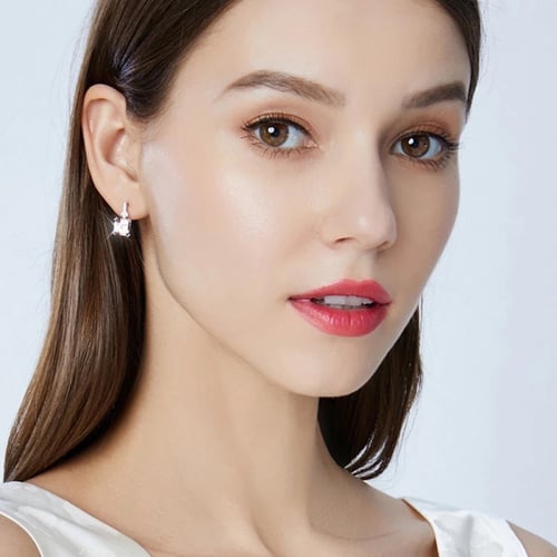 Needle Buckles clear Silver 925 earrings