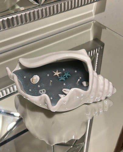 ملكة الصدف بحجم كبير