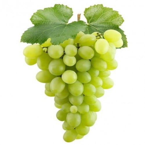 زيت العنب البيروتي العطري