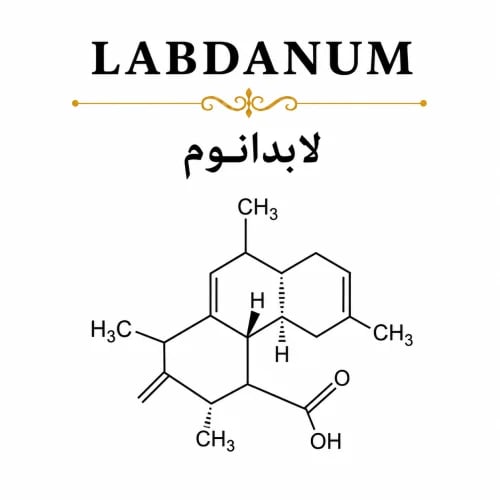 30% Labdanum (Natural Mixture) Resinoid 30% in DPG