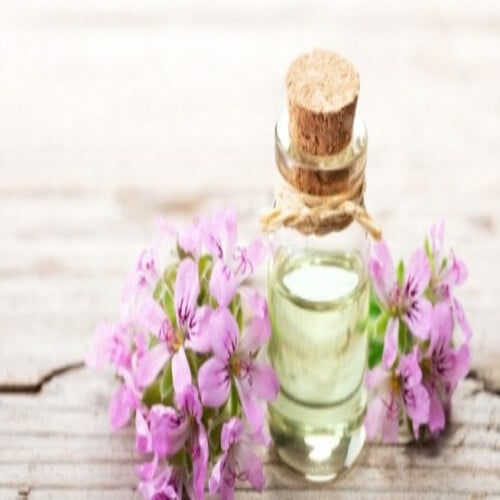 زيت ابرة الراعي العطري