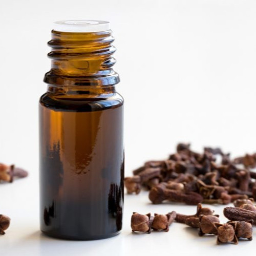 زيت خلاصة القرنفل العطري