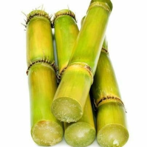 زيت قصب السكر العطري